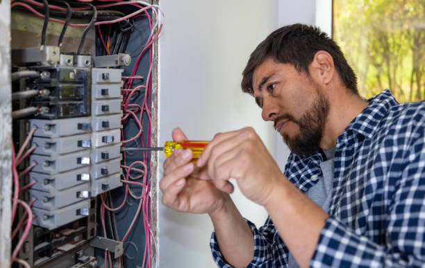 Best Electrical Panel Upgrades  in Forest City, IA